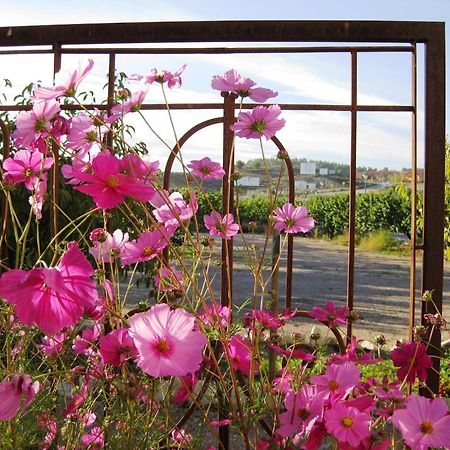 Jardines De Casablanca Otel Caravaca De La Cruz Dış mekan fotoğraf