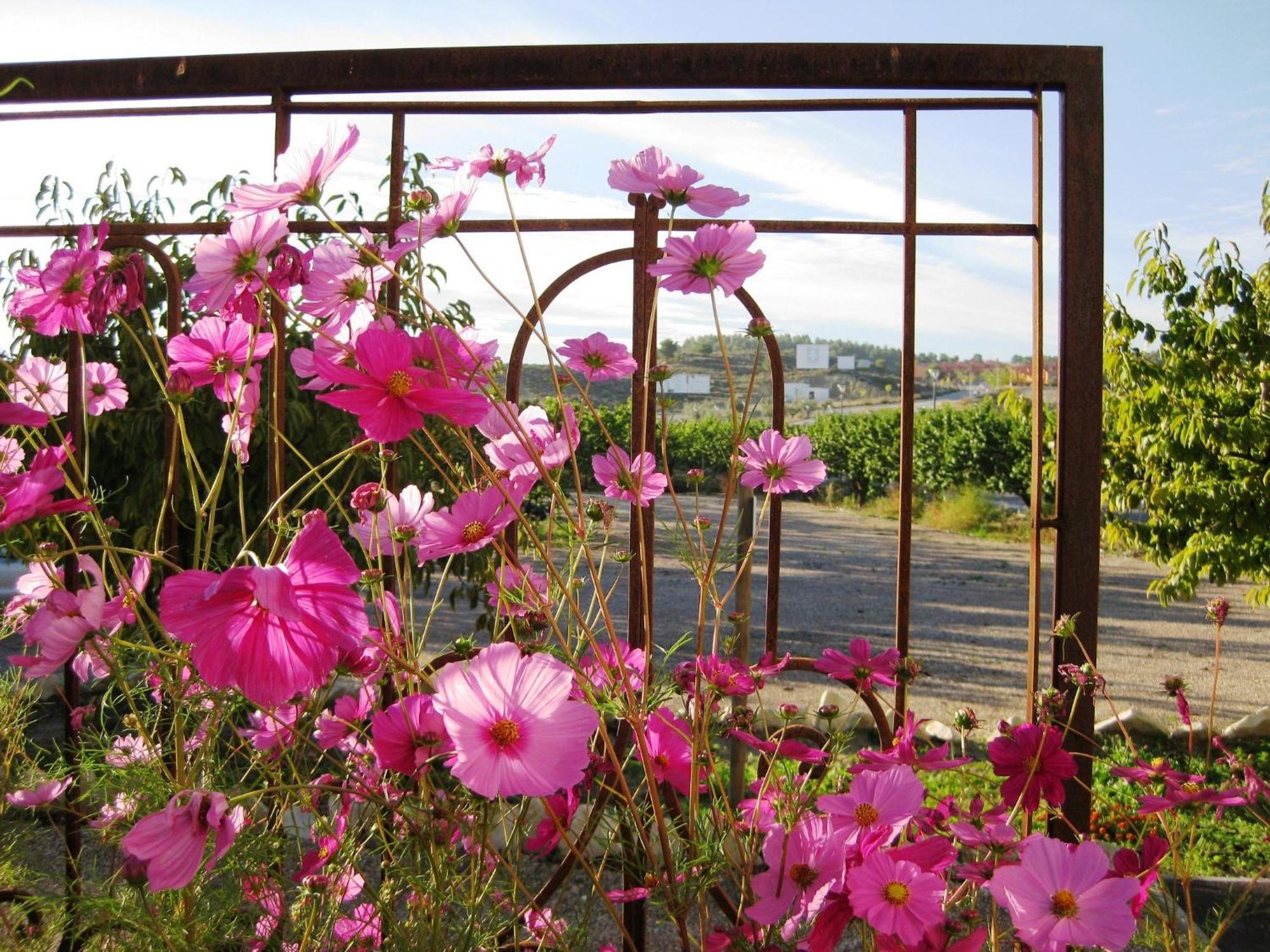 Jardines De Casablanca Otel Caravaca De La Cruz Dış mekan fotoğraf