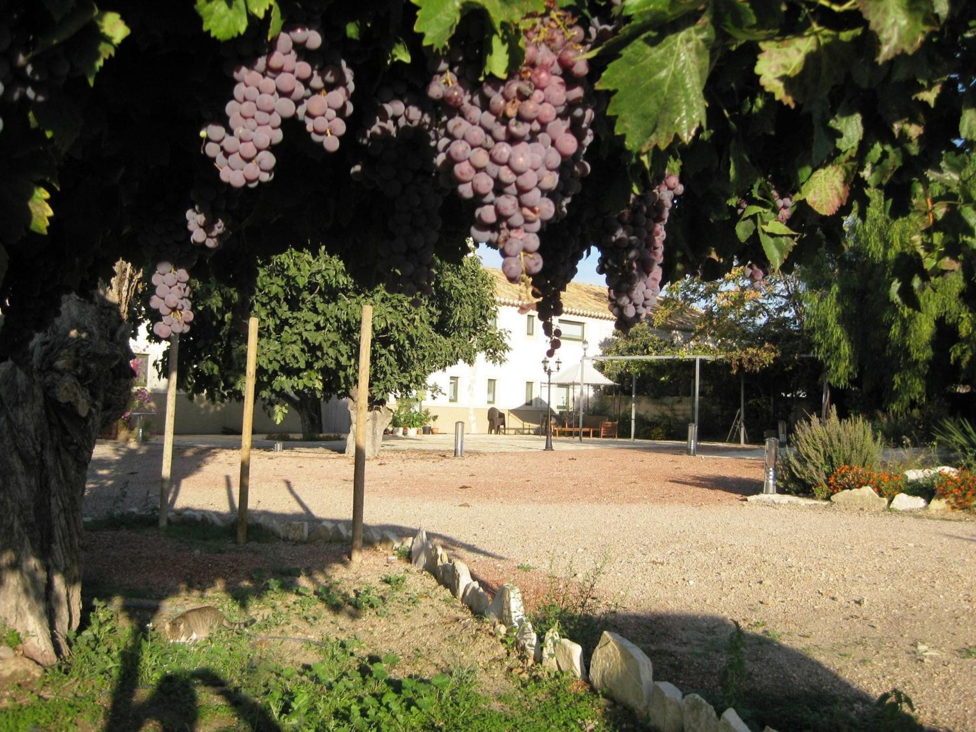 Jardines De Casablanca Otel Caravaca De La Cruz Dış mekan fotoğraf