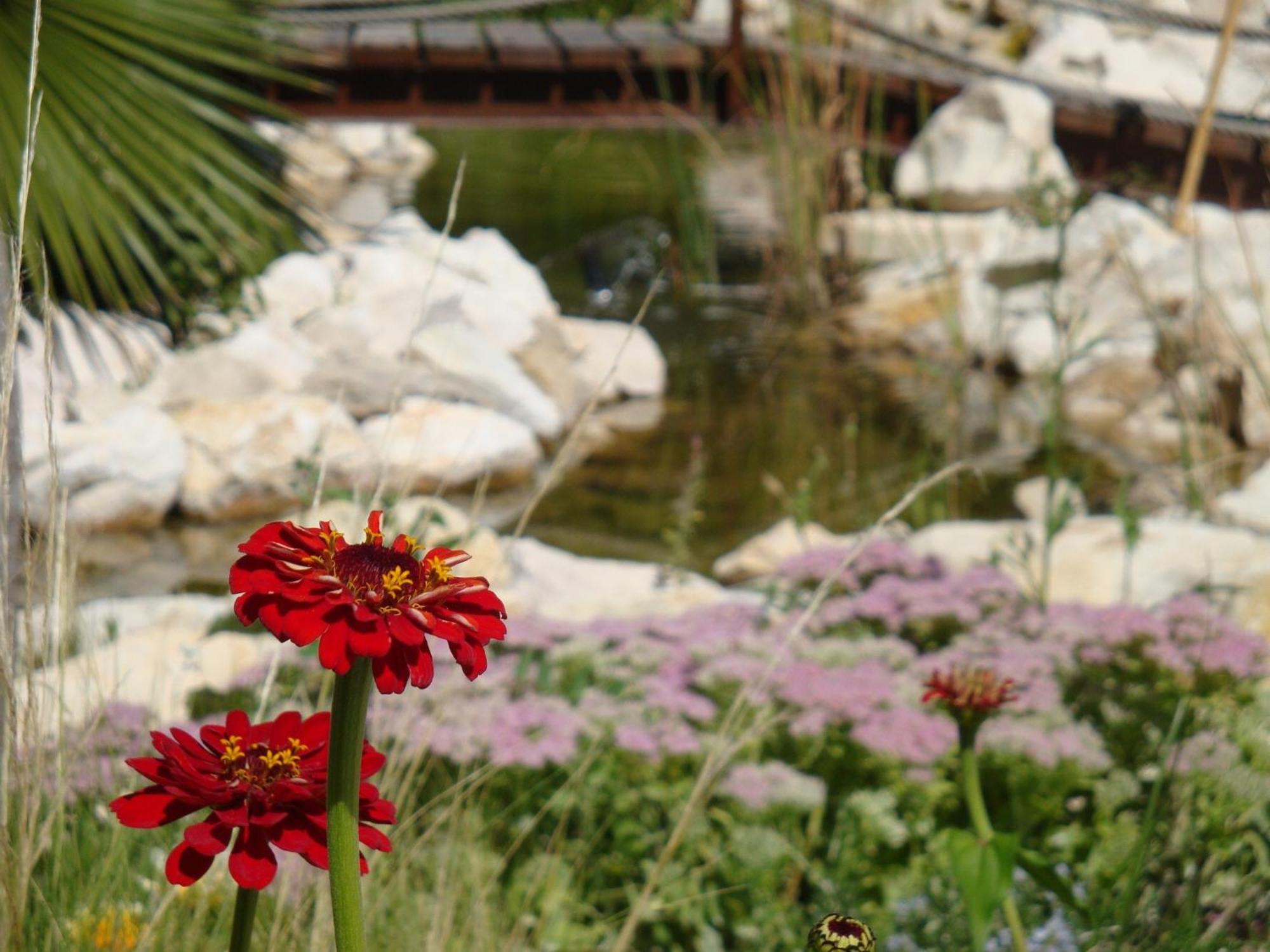 Jardines De Casablanca Otel Caravaca De La Cruz Dış mekan fotoğraf