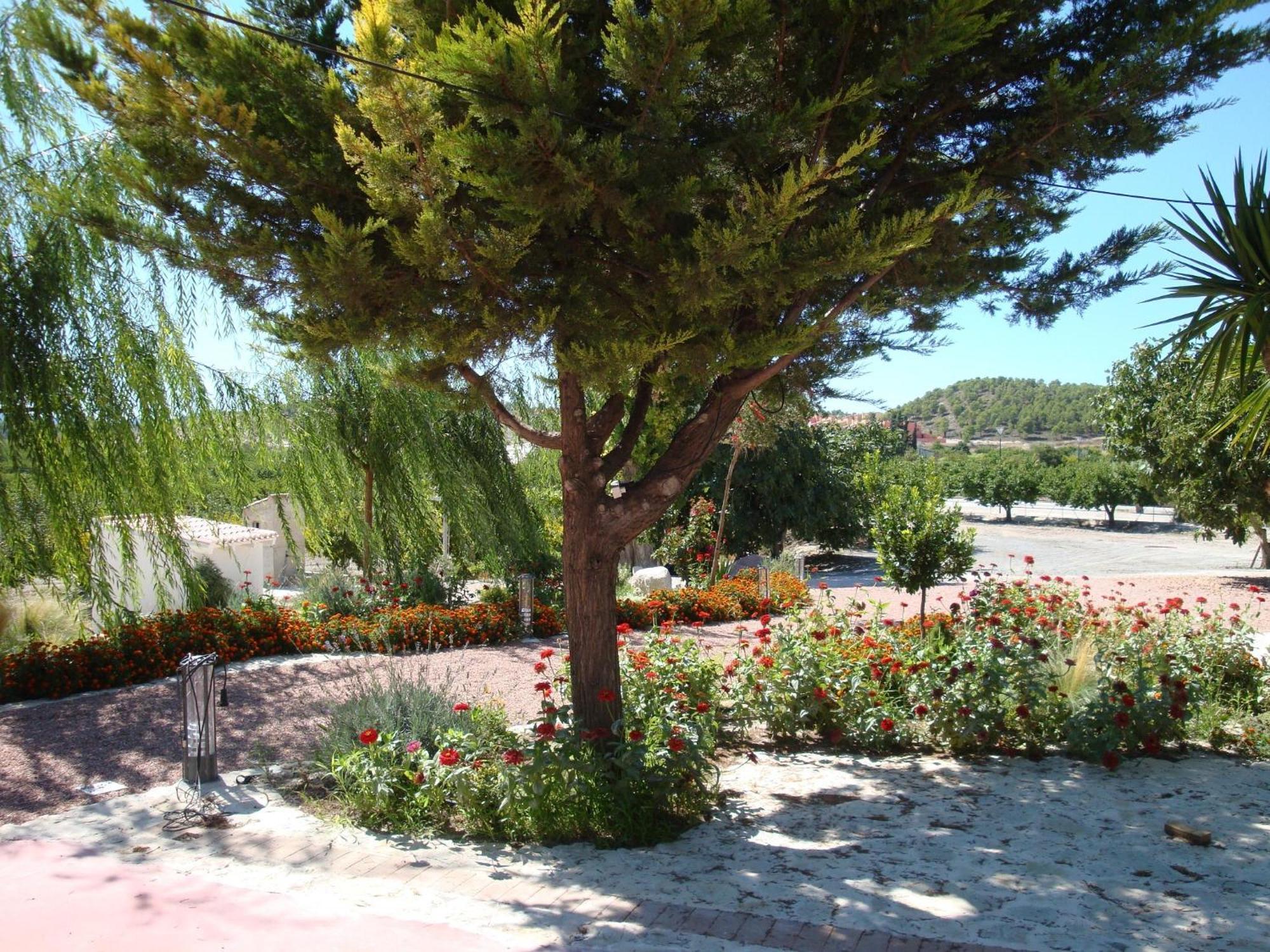 Jardines De Casablanca Otel Caravaca De La Cruz Dış mekan fotoğraf