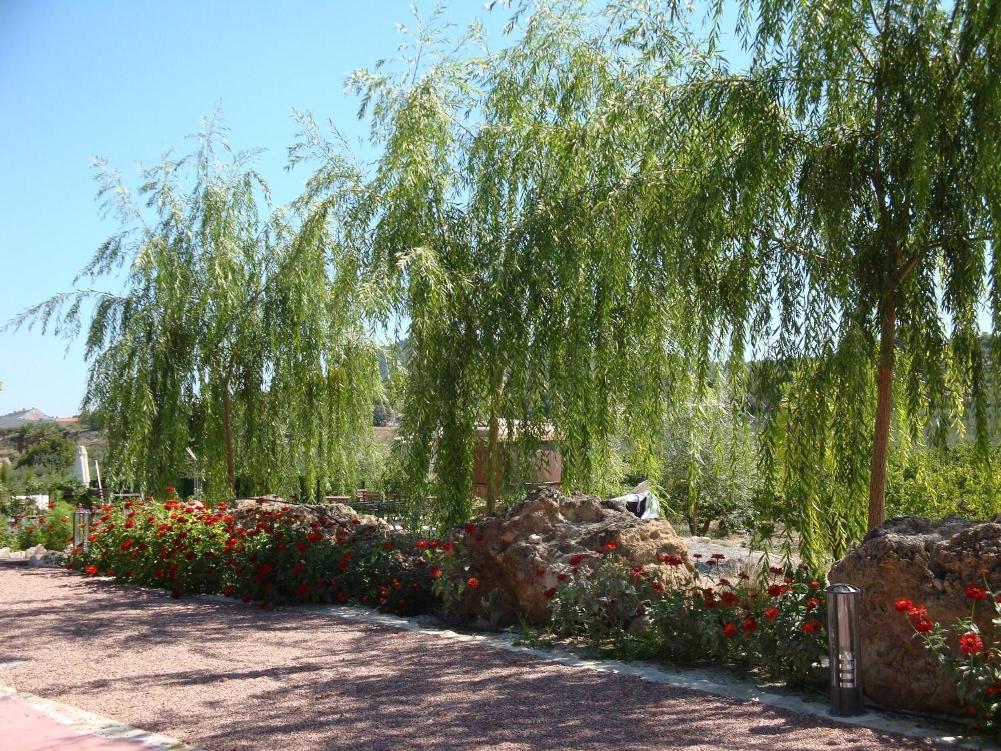 Jardines De Casablanca Otel Caravaca De La Cruz Dış mekan fotoğraf