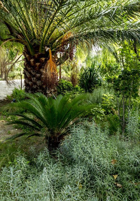 Jardines De Casablanca Otel Caravaca De La Cruz Dış mekan fotoğraf