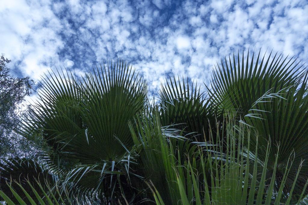 Jardines De Casablanca Otel Caravaca De La Cruz Dış mekan fotoğraf